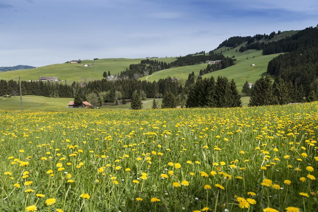 Hotel Kaubad Appenzell Exteriér fotografie